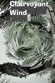 Clairvoyant Wind
