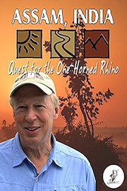 Assam India: Quest for the One Horned Rhinoceros