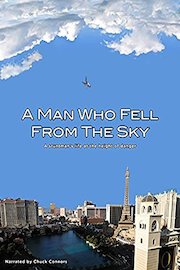 A Man Who Fell From The Sky
