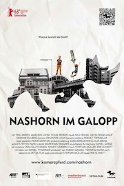 Nashorn im Galopp [Rhino Full Throttle]