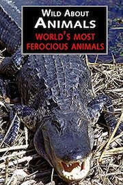 World's Most Ferocious Animals
