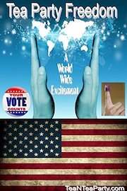 Tea Party: Grassroots Patriot Americans: What The Tea Party Looks Like