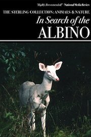 In Search Of The Albino