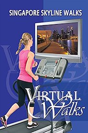 Singapore Downtown Walk