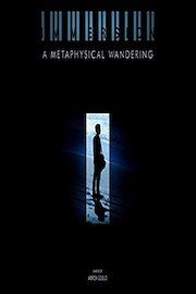 Immersion: A Metaphysical Wandering