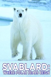 Svalbard: Where Polar Bears Reign