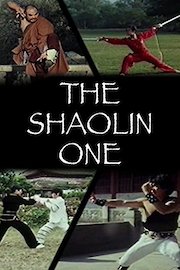 The Shaolin One