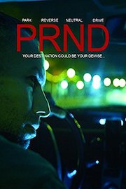 Park Reverse Neutral Drive PRND