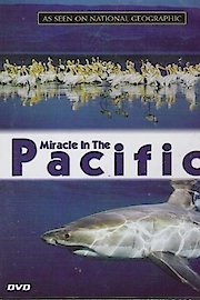 Miracle in the Pacific