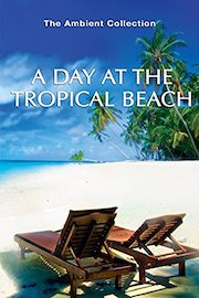A Day At The Tropical Beach
