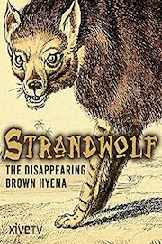Strandwolf: The Disappearing Brown Hyena