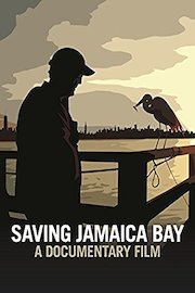 Saving Jamaica Bay