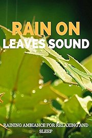 Rain on Leaves Sound Raining Ambience for Relaxing and Sleep