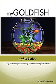 myGoldfish