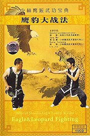 Eagle vs Leopard Kung Fu