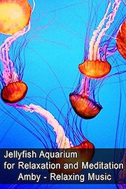 Jellyfish Aquarium for Relaxation and Meditation - Amby - Relaxing Music