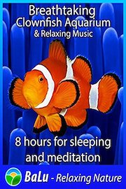 Breathtaking Clownfish Aquarium & Relaxing Music - 8 hours for sleeping and meditation