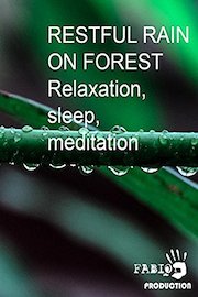 Restful rain on forest. Relaxation, sleep, meditation