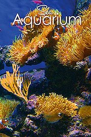 Sea Aquarium