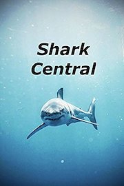 Shark Central