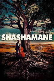 Shashamane