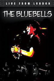 The Bluebells - Live From London