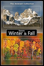 Four Seasons Fall and Winter