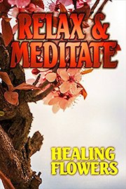 Relax and Meditate: Healing Flowers