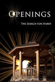Openings: The Search For Harry