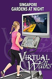 Bay Gardens at Night