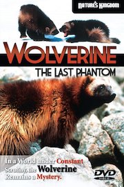 wolverine the last phantom