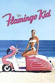 The Flamingo Kid