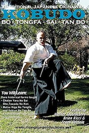 Traditional Japanese Okinawan Kobudo BO-TONGFA-SAI-TAN BO