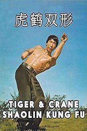 Tiger and Crane Shaolin Kung Fu