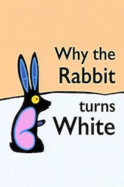 Why the Rabbit Turns White