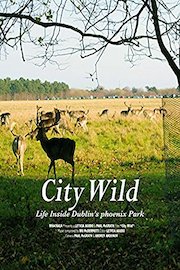 City Wild