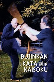 Bujinkan Kata Kaisoku