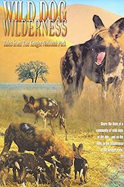 Wild Dog Wilderness