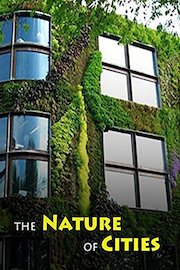 The Nature of Cities