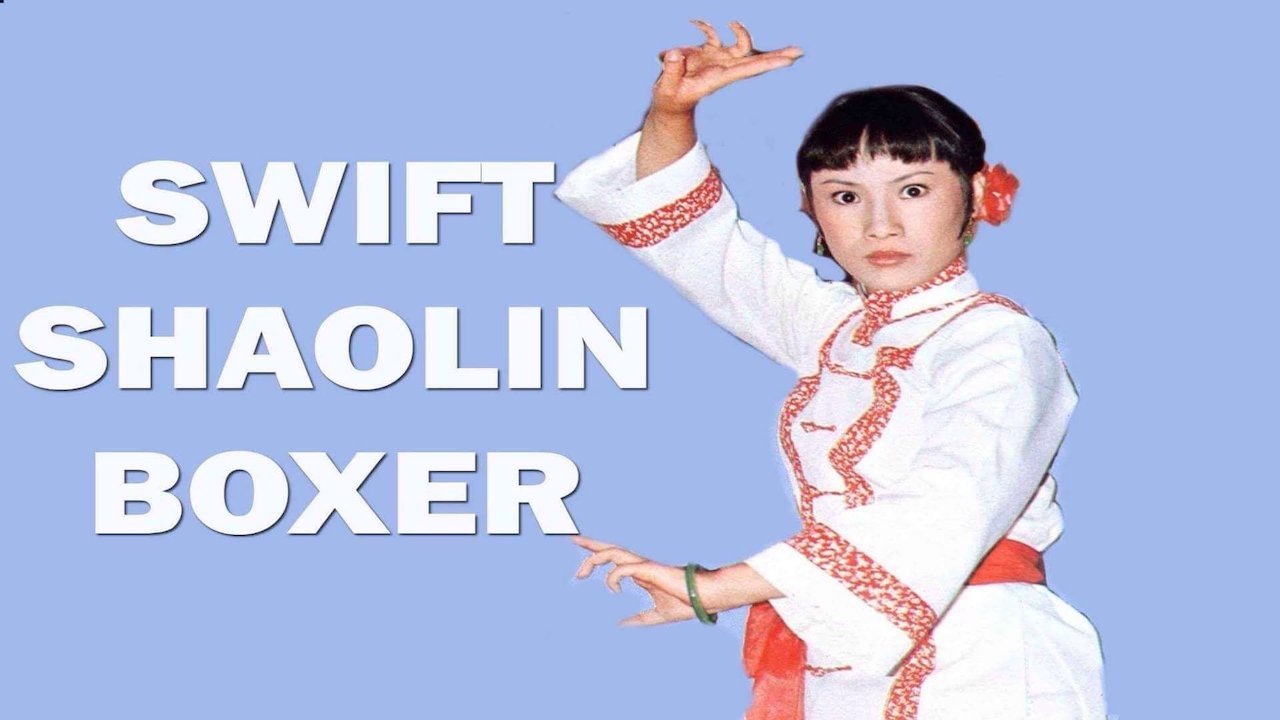 Swift Shaolin Boxer