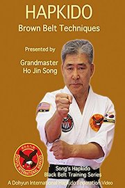 Song's Hapkido Brown Belt Techniques