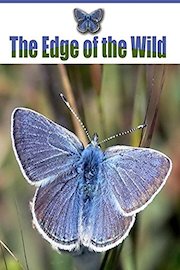 The Edge of the Wild