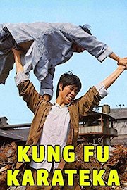 Kung Fu Karateka