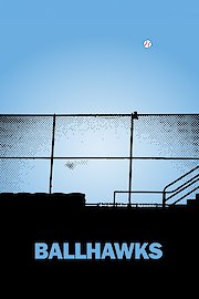 Ballhawks