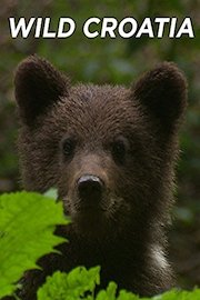 Wild Croatia