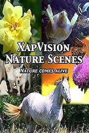 XapVision Nature Scenes - Nature Comes Alive