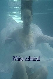 White Admiral