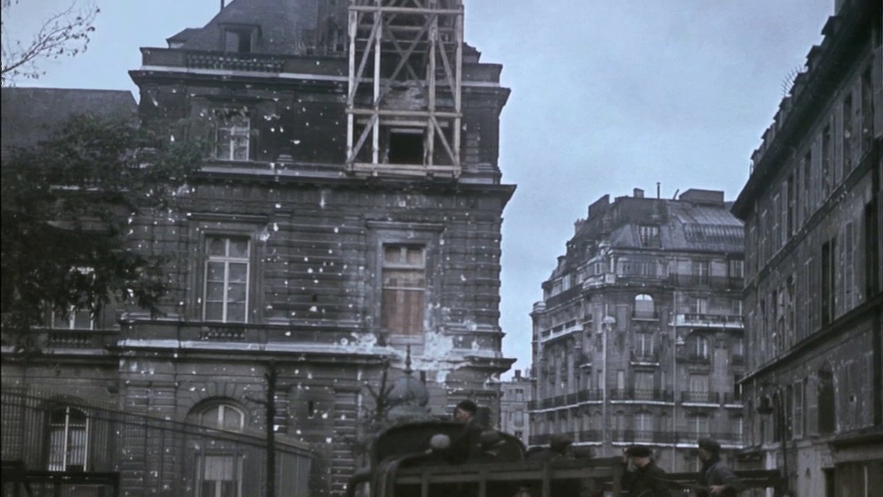 Wildcats, Zeros and Hellcats - WWII