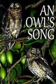 An Owl's Song