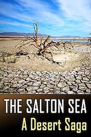 The Salton Sea: A Desert Saga
